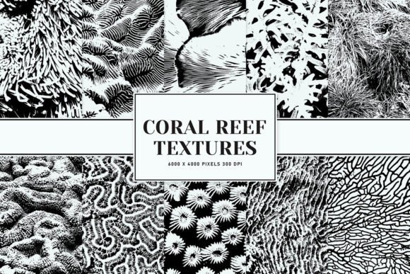 Coral Reef Textures: Elevating Digital Creativity with Nature-Inspired Design Assets