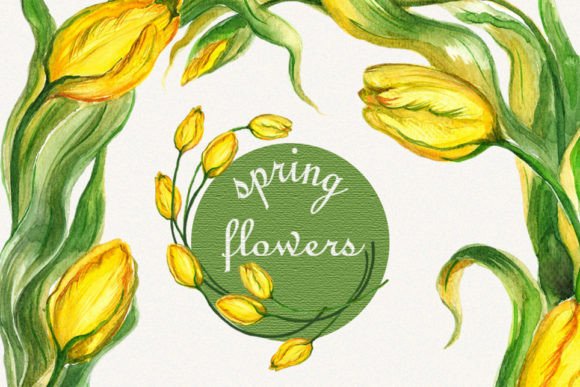 Tulip Clipart and Flower Frame Clipart: A Versatile Design Resource for Creative Projects